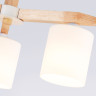 Люстра на штанге Ambrella Light TR83112
