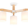 Люстра на штанге Ambrella Light TR83112