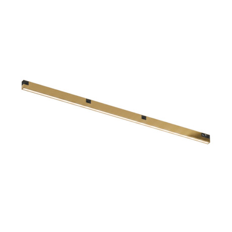 Светильник на шине Denkirs DK4752-SB