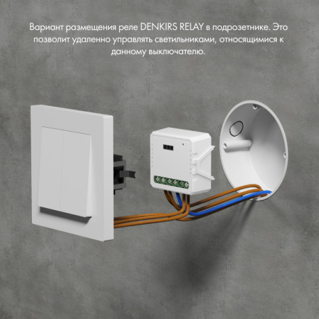 Wi-Fi реле Denkirs RL1002-SM