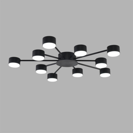 Накладная люстра LUMION 8344/10C