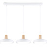 Подвесной светильник Ambrella Light FL4840