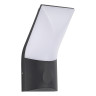 Светильник настенный ST-Luce SL9543.701.01