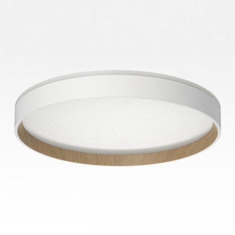 Накладной светильник Citilux CL750320R
