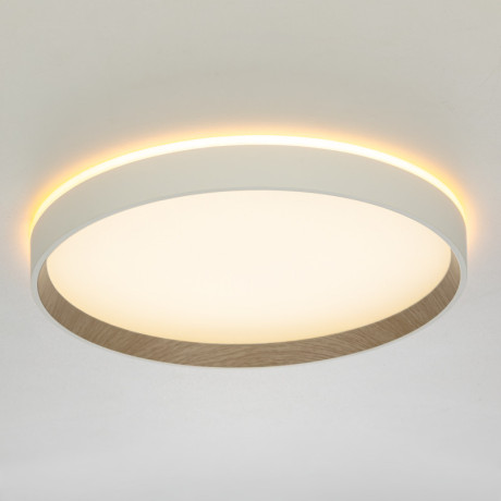Накладной светильник Citilux CL750320R