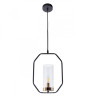 Подвесной светильник ARTE Lamp A7004SP-1BK
