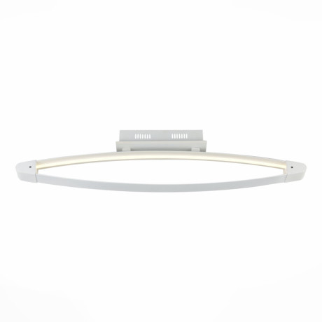 Накладной светильник ST-Luce SL920.102.01
