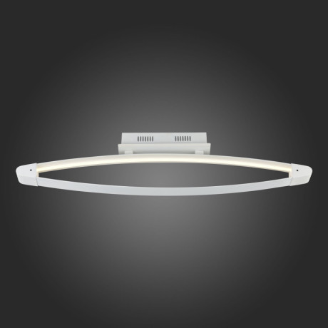 Накладной светильник ST-Luce SL920.102.01