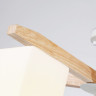 Люстра на штанге Ambrella Light TR83118