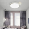 Накладной светильник ImperiumLoft 193728-26