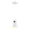 Подвесной светильник Ambrella Light TR8465