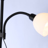 Торшер Ambrella Light TR97629
