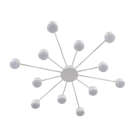 Накладная люстра LUMION 8343/12C