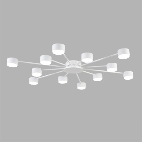 Накладная люстра LUMION 8343/12C